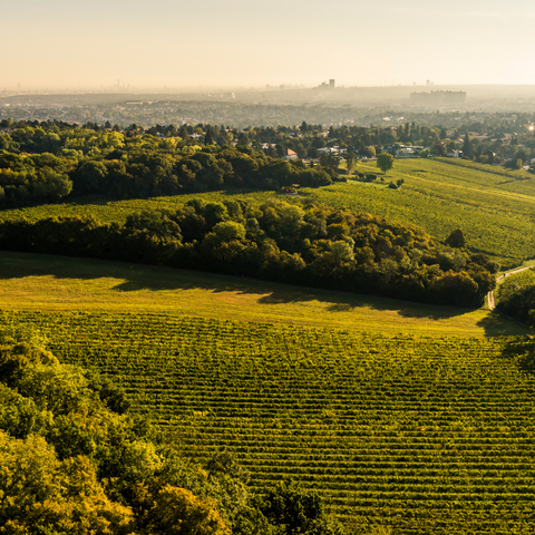 Weingut Edlmoser