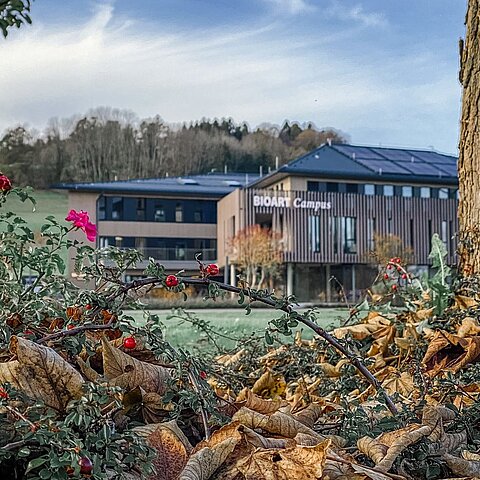 Bio Akademie Seeham
